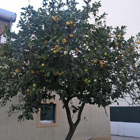 Casa Do Limoeiro Panzió Quinta do Conde Kültér fotó