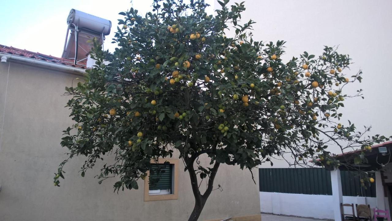 Casa Do Limoeiro Panzió Quinta do Conde Kültér fotó